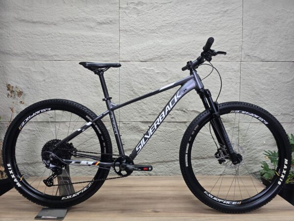 SILVERBACK STRIDE EXPERT (M) 2022 BG1618