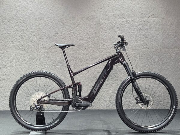 Giant Stance E+1 Pro